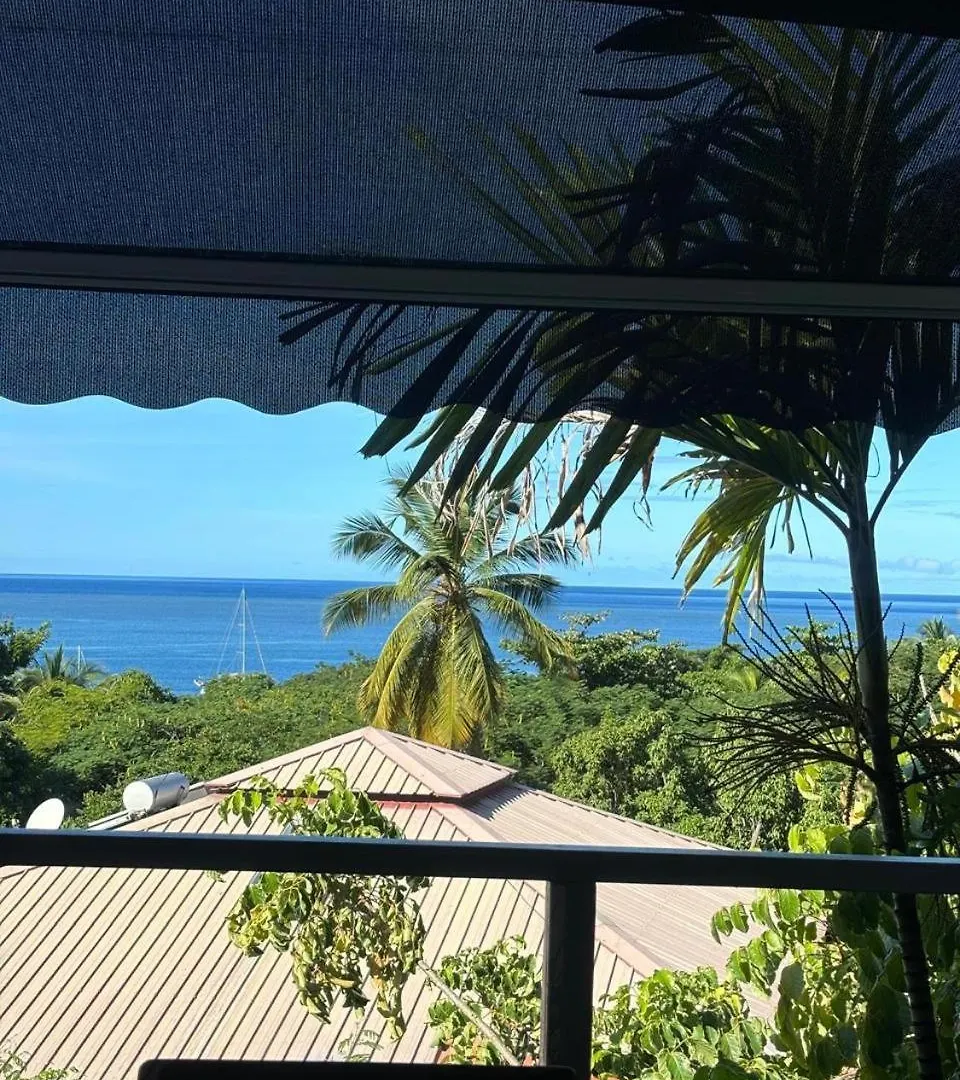Le Mahogany Sur La Plage De Petit-Anse Bouillante